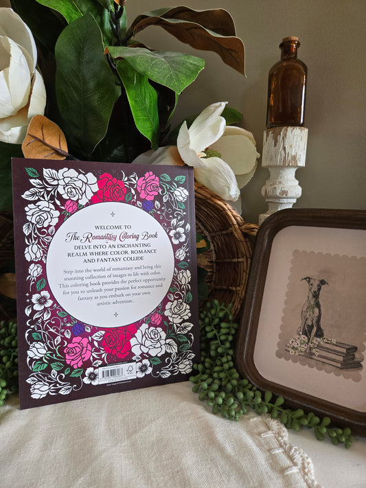 The Romantsy Coloring Book