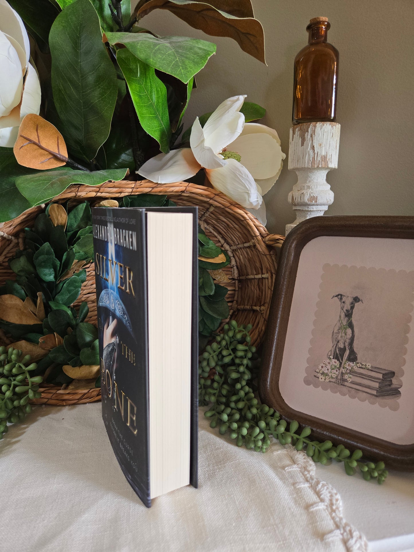 Silver in the Bone by Alexandra Bracken