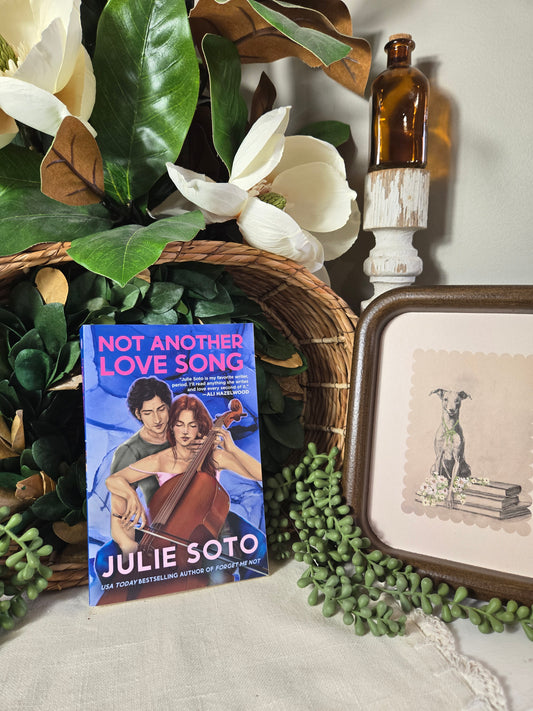 Not Another Love Song by Julie Soto
