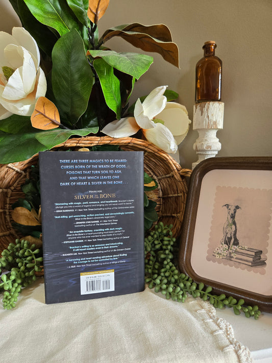 Silver in the Bone by Alexandra Bracken