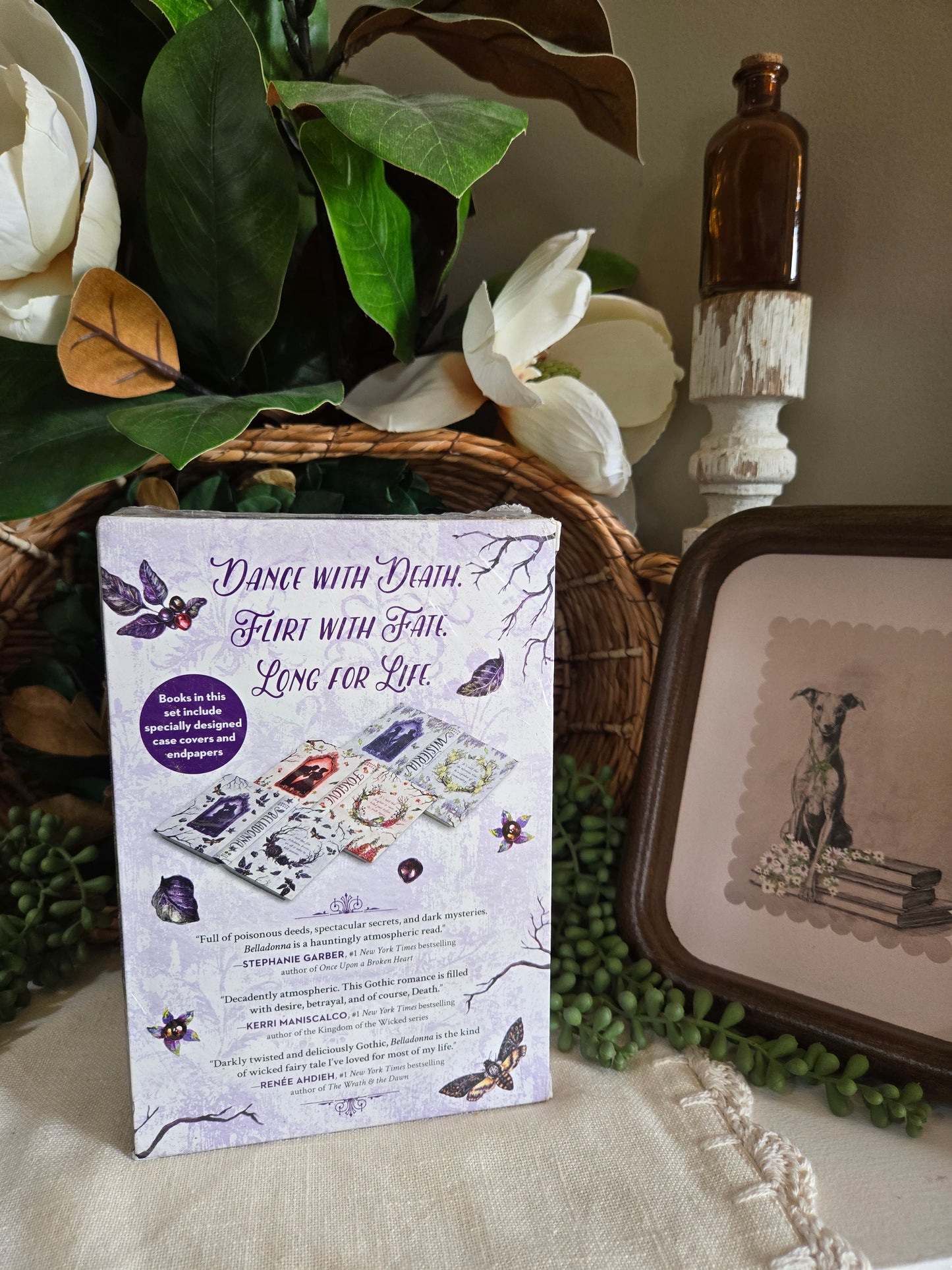 The Belladonna Collection by Adalyn Grace