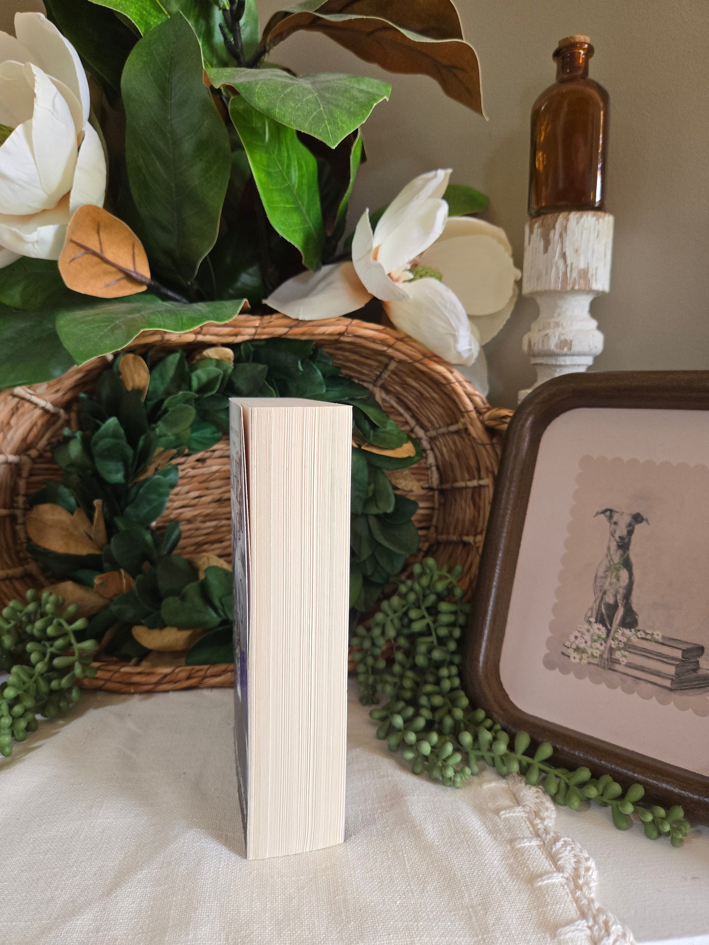 The Ashes & The Star Cursed King by Carissa Broadbent